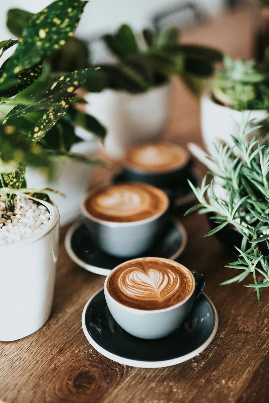 Bạc xỉu nóng