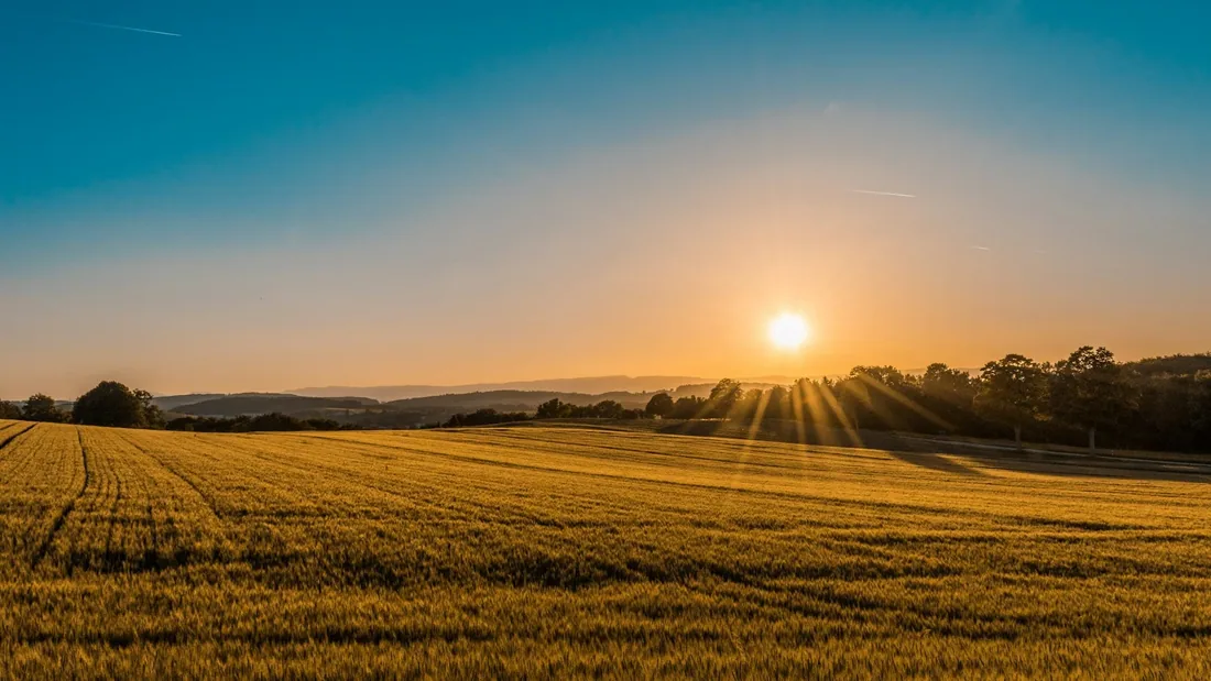 Nông sản — cảm hứng hình ảnh