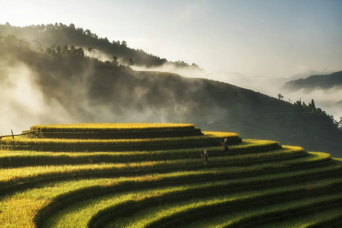 Tạp chí cho người muốn hiểu nơi mình đến