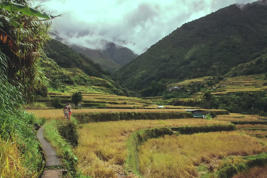 Trek ruộng bậc thang Sa Pa 2N1Đ