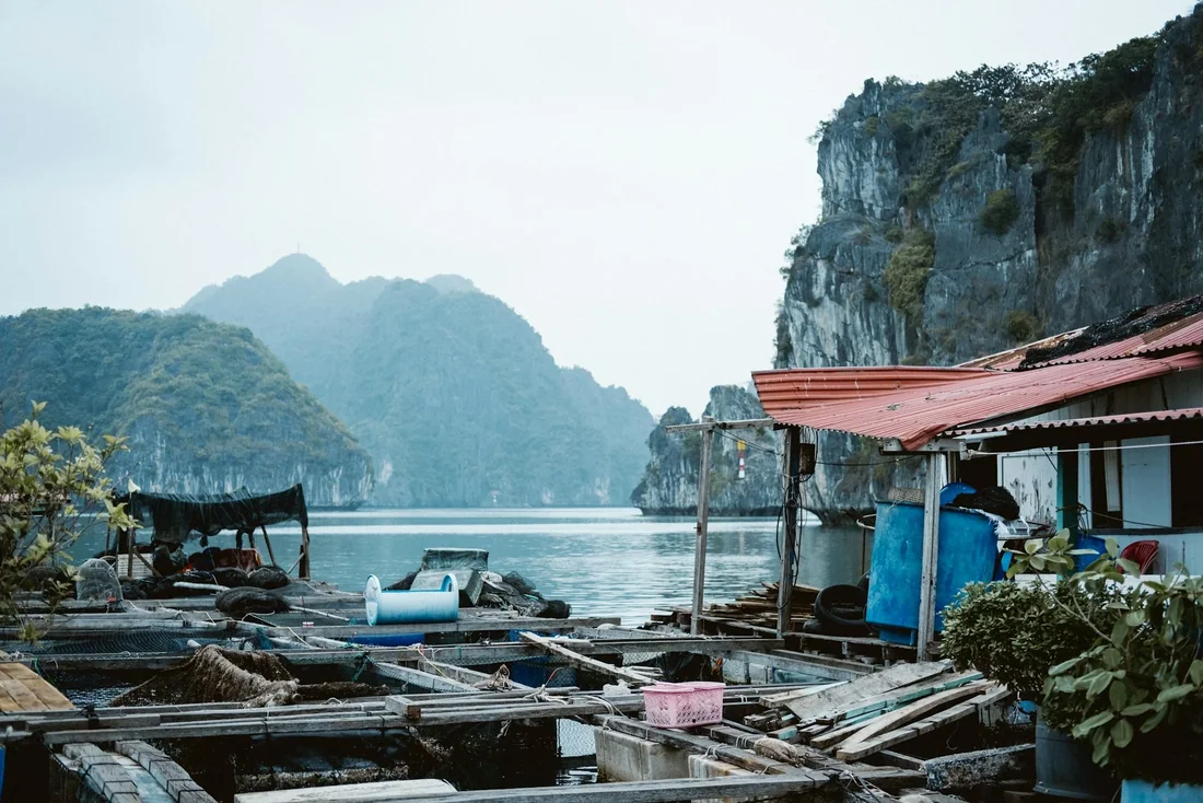 Ghé làng chài nuôi cá trên vịnh