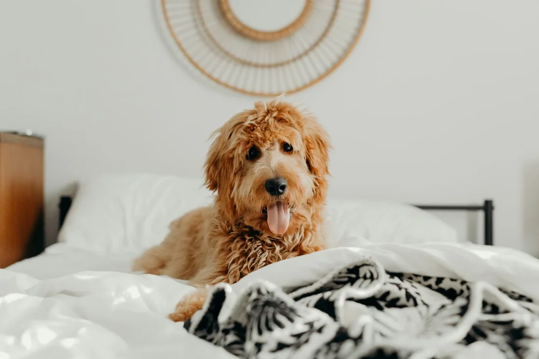 Phòng riêng có giường cho bé quen ngủ giường