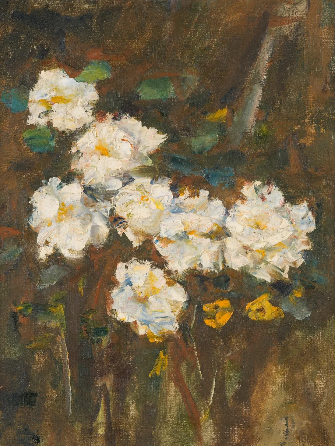 Tranh hoa trắng nền nâu in canvas