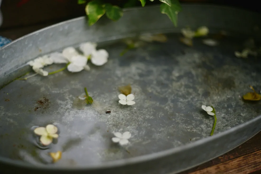 Ngâm chân nước lá và hoa