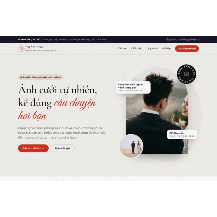 Ảnh chụp Mẫu giao diện studio ảnh cưới — Thanh lịch | WZ-531