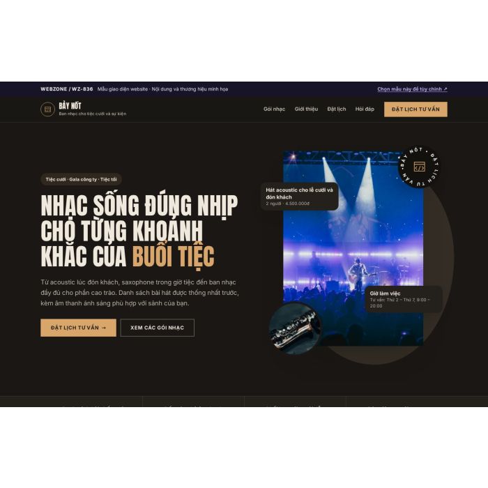 Ảnh chụp Mẫu giao diện ban nhạc biểu diễn sự kiện — Thanh lịch | WZ-836