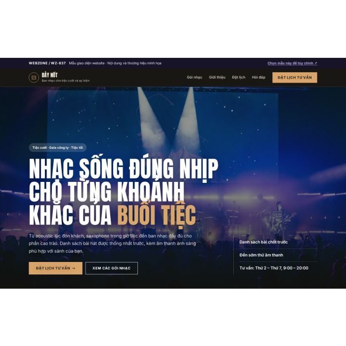 Ảnh chụp Mẫu giao diện ban nhạc biểu diễn sự kiện — Nổi bật | WZ-837