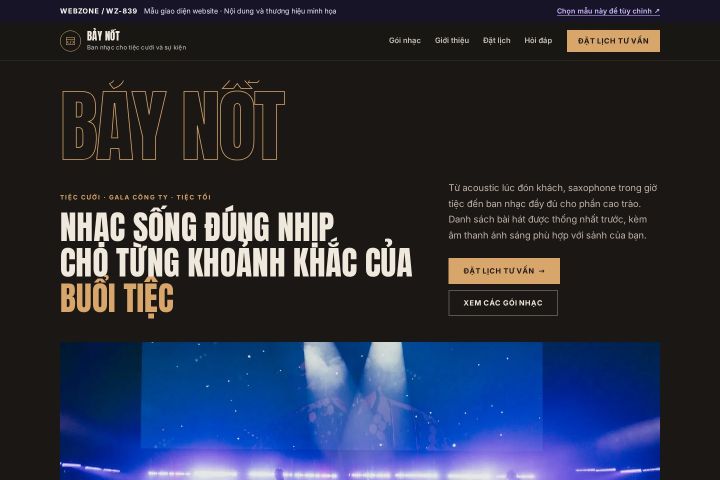 Mẫu giao diện ban nhạc biểu diễn sự kiện WZ-839